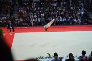 DSC_8381