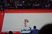 DSC_8421