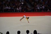 DSC_8427