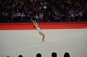 DSC_8428